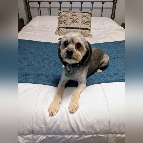 Meet your Posher, Mercedes - Picture 3 of 5